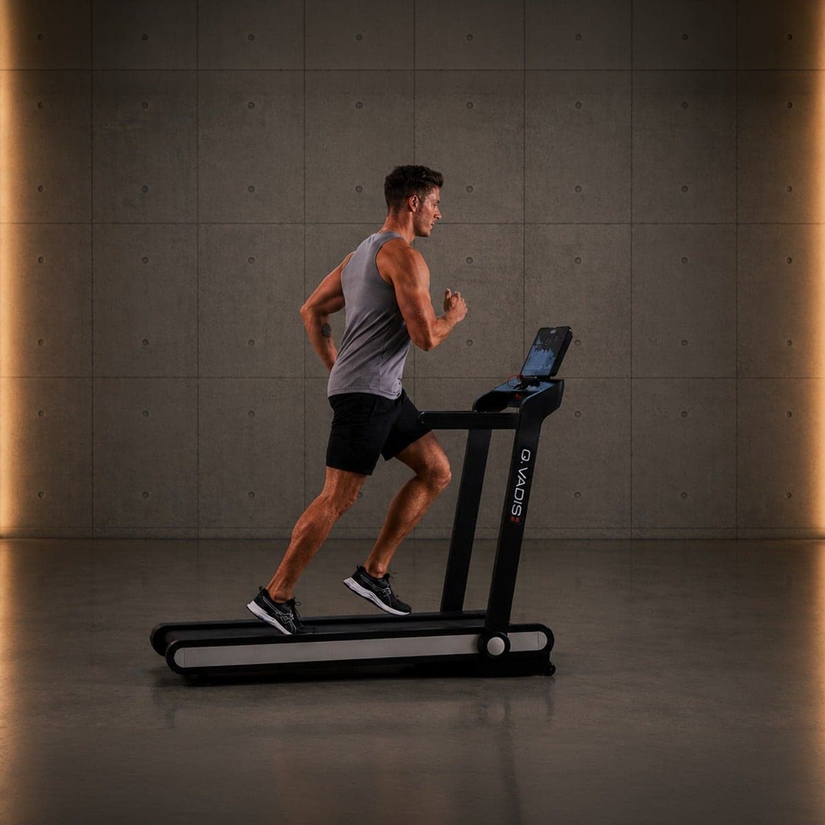 HAMMER Laufband Q. VADIS 3.0